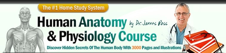 Human Anatomy Course promo codes